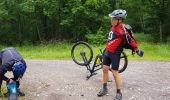 Excursión Bici de montaña Saint-Clément - sortie vtt du 14062020 Antenne de Lunéville par Mont Sur Meurthe - Photo 9