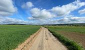 Tocht Stappen Libramont-Chevigny - Bras-Bas Carrière  - Photo 6