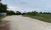 Trail Trail Sainte-Anne - Bois Jolan  - Photo 3