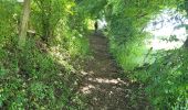 Trail Walking Houffalize - Engreux 190625 - Photo 10