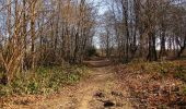 Percorso A piedi Vieux-Moulin - en forêt de Compiègne_23_la Grotte des Ramoneurs_le Mont Berny - Photo 16