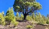 Tour Wandern El Tanque - Los partidos - Photo 11