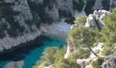 Excursión Senderismo Cassis - Cassis, les trois calanques, la pomme de pin (cacau), le trou du souffleur... - Photo 5