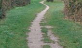 Trail Walking Carnac - PR_56_Carnac_BA_02_Circuit1b_De-St-Colomban_20231015 - Photo 12
