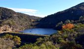 Tour Wandern La Garde-Freinet - SityTrail - Fort Freinet-la Garde-Freinet-02-06-23 - Photo 13