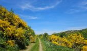 Tour Wandern Kiischpelt - Kautenbach - Sentier local KI 2 - Photo 15