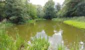 Tour Wandern Canteleu - rando du 15 juin. 2020 - Photo 2