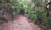Trail Walking Le Robert - Pointe Savane - Pointe Banane - Photo 5