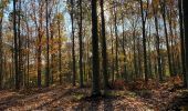 Trail Walking Gerpinnes - Étang du ban à l’automne  - Photo 4