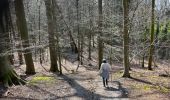 Trail Walking Beauvechain - Meerdael et molendaal à partir de Hamme Mil - Photo 20
