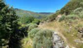 Trail Walking Val-d'Aigoual - L’Esperou Dourbie 26 km - première étape tour de l'Aiguail en 3 jours - Photo 10