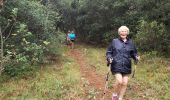 Tour Wandern Bargemon - Les bois de Favas et de Coste Rousse 1 - Photo 1