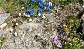 Tocht Stappen Simplon - Refuge Monté Leone - Photo 13