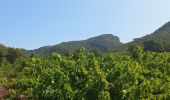 Excursión Senderismo Gigondas - Les Florets Lencieux Pas de l'Aigle - Photo 4