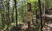 Tocht Stappen Annecy - A la découverte des Chalets de Barbenoire - Photo 17