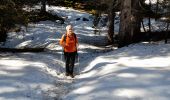 Excursión Senderismo Glières-Val-de-Borne - GLIERES: TOUR DE LA MONTAGNE DES FRETES  mai 2023 - Photo 10