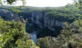 Tour Wandern Les Vans - Chabiscol du 26/08/2024 - Photo 5