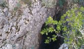 Tour Wandern Vallon-Pont-d'Arc - 26 grottes deroc Chauvet zel - Photo 1