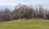 Trail Walking Brison-Saint-Innocent - les granges de Brison - Photo 14