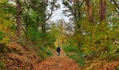 Tour Wandern Merbes-le-Château - Balade à Fontaine-Valmont - Photo 6