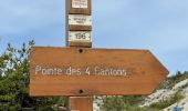Trail Walking Massoins - Pointe des 4 cantons - Photo 16