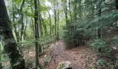 Trail On foot Plan-d'Aups-Sainte-Baume - Massif Sainte Baume et pas de l’Aï 15 km - Photo 5