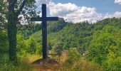 Trail Walking Durbuy - Balade à Bomal sur Ourthe - Photo 14