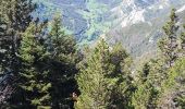 Trail Walking Saint-Agnan-en-Vercors - Plateau de Beure - Tête du Faisan - Photo 1