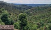 Tocht Stappen Soudorgues - Vallée Salindrenque - Photo 20