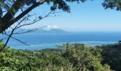 Excursión Senderismo Punaauia - vue panoramique Le Pin vers Mont Mamanu - Photo 4