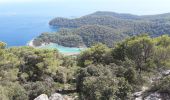 Excursión Senderismo Unknown - Parc National MLJET 01/08/18 - Photo 4