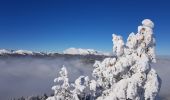 Percorso Racchette da neve Sarcenas - Le  Mont Fromage et ses crêtes - Photo 4