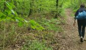 Trail Walking Plougras - Autour de Plougras, abord de Guerlesquin - Photo 2
