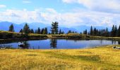 Tocht Te voet Feld am See - Wanderweg 180 Mirnock - Schwarzsee - Photo 8