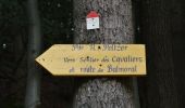 Tour Wandern Spa - 20230814 - SPA Warfaaz 7 Km - Photo 4