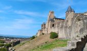 Percorso Marcia Karkasonas - carcassonne under the sun  - Photo 13