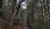 Trail Walking Portomarín - 2022 Camino de Santiago 3 - Photo 12