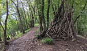 Tour Wandern Esneux - esneux . ham . roche aux faucons par les petits chemins  - Photo 16