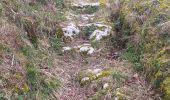 Trail Walking Beure - 