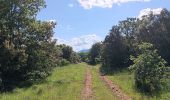 Trail Walking Lussan - de Lussan aux Concluses - Photo 14