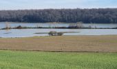 Trail Walking Puydarrieux - Lac de Puydarrieux - Castelnau Magnoac-65 le 15/01/225 - Photo 2