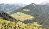 Tour Wandern La Clusaz - Le Lac de Tardevant - Photo 11