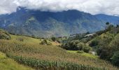 Randonnée Marche Baños de Agua Santa - Baños - Casa del Arbol - Photo 20