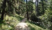 Tour Wandern Crots - boucle du lac de Lauzerot via Les Gendres . cabane à Jules . clôt Besson . lac . les Gendres - Photo 16