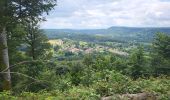 Tocht Stappen Belverne - Belverne - grotte des prisonniers allemands - Etobon - Photo 2