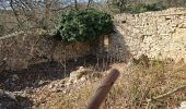 Tour Wandern La Roquebrussanne - Jas d'Agnis au départ de la Roquebrussanne par le vallon de Valescure - Photo 9