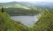 Percorso A piedi Orbey - Tour du Lac Noir - Photo 2