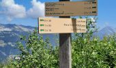 Randonnée Marche Manigod - la croix de Colomban depuis le col de la Croix Fry - Photo 2