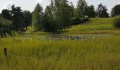 Trail Walking Beulotte-Saint-Laurent - Beulotte St Laurent - le plateau des Mille Etangs - Photo 4