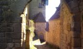 Excursión Senderismo Castelnaud-la-Chapelle - Vézac 20,5km - Photo 14